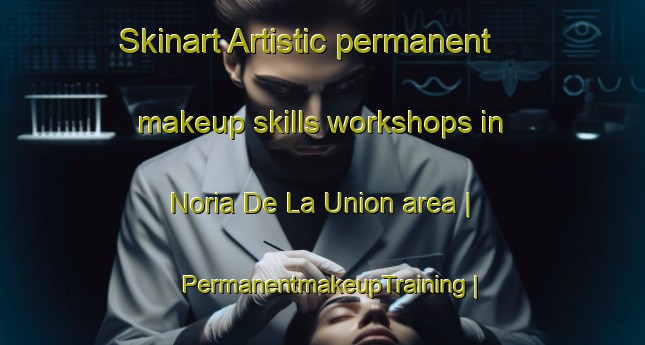 Skinart Artistic permanent makeup skills workshops in Noria De La Union area | PermanentmakeupTraining | PermanentmakeupClasses | SkinartTraining-Mexico